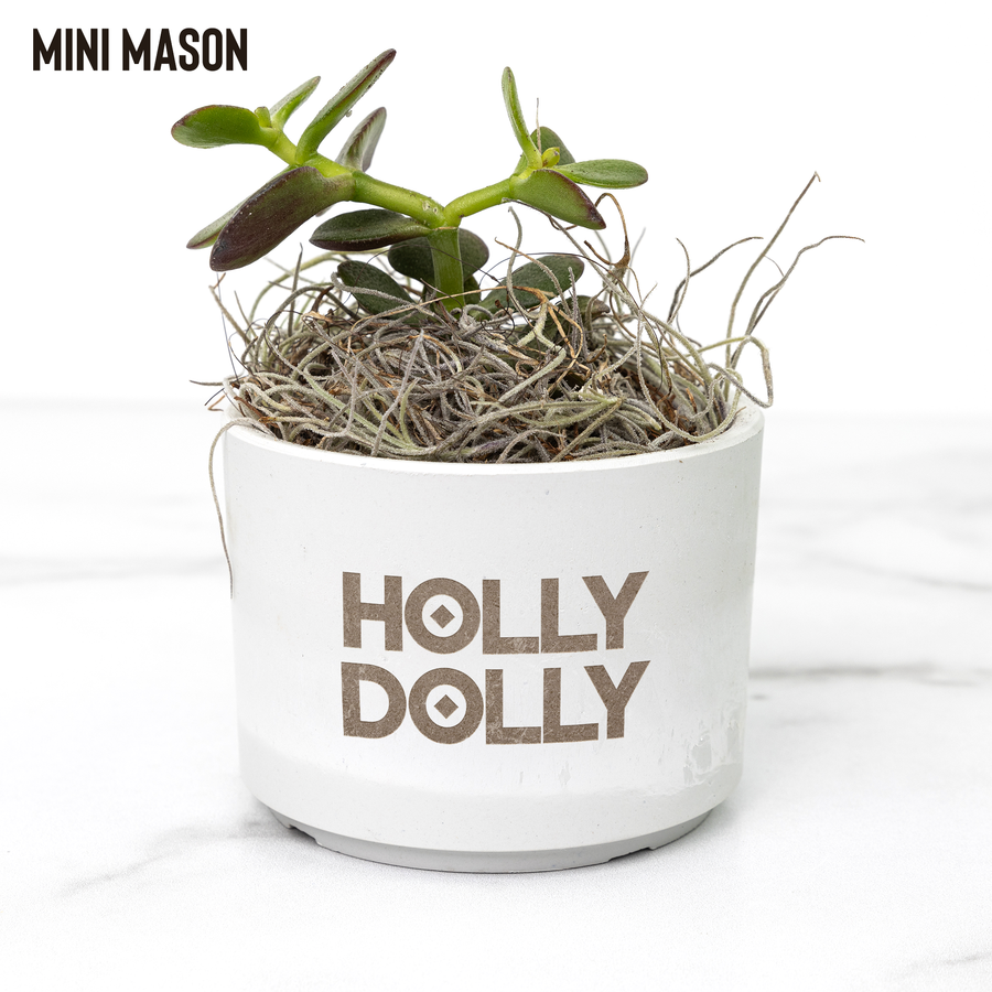 Custom_Desk_Plant_Mason_Mockup_Mockup.png