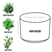 Custom_Desk_Plant_Mason_Spec_Mockup.png