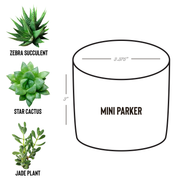 Custom_Desk_Plant_Parker_Spec_Mockup.png