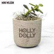 Custom_Desk_Plant_Wilson_Mockup_Mockup.png