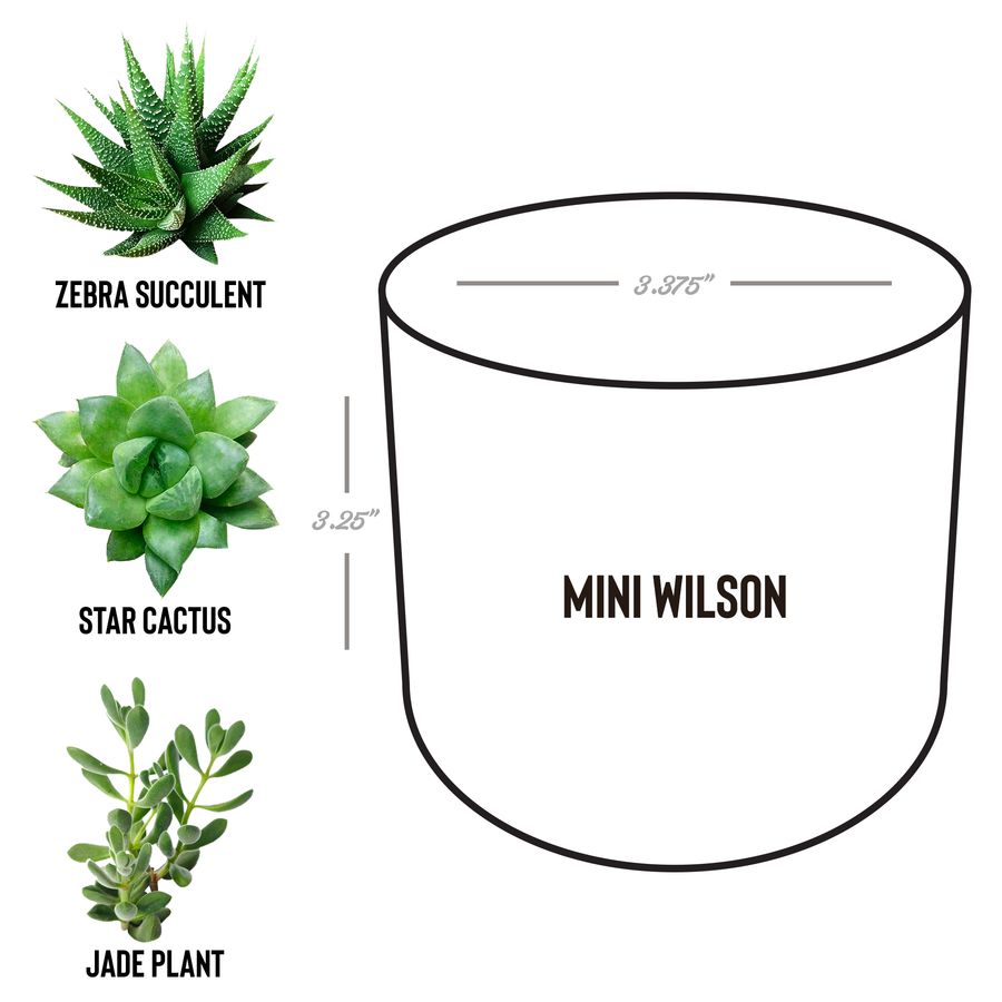 Custom_Desk_Plant_Wilson_Spec_Mockup.png