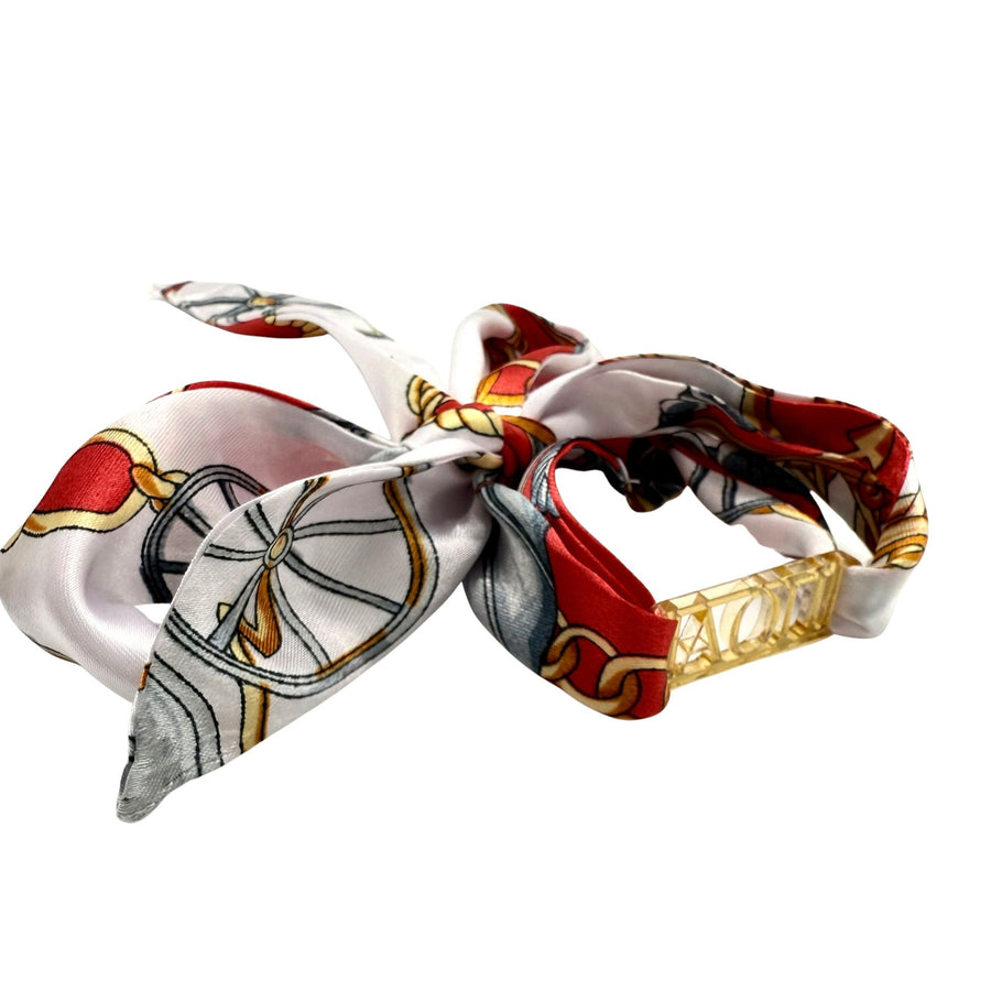 Alpha Omicron Pi- Tie Scarf with Sorority Greek Slide