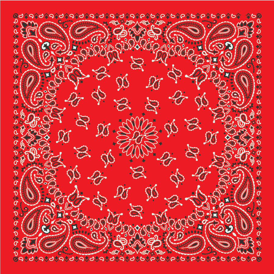 Alpha Omicron Pi - Bandana Wrap w/ Metallic Acrylic Slide