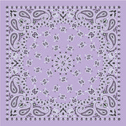Delta Phi Epsilon - Bandana Wrap w/ Metallic Acrylic Slide