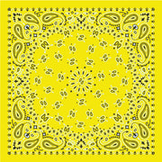 Phi Sigma Sigma - Bandana Wrap w/ Metallic Acrylic Slide