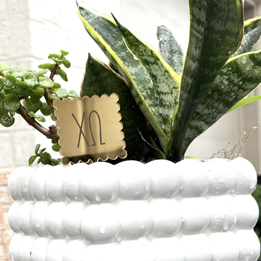 Chi Omega Scallop Acrylic Cake/Cupcake & Floral Picks