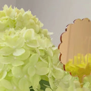 Sorority Scallop Acrylic Cake/Cupcake & Floral Picks